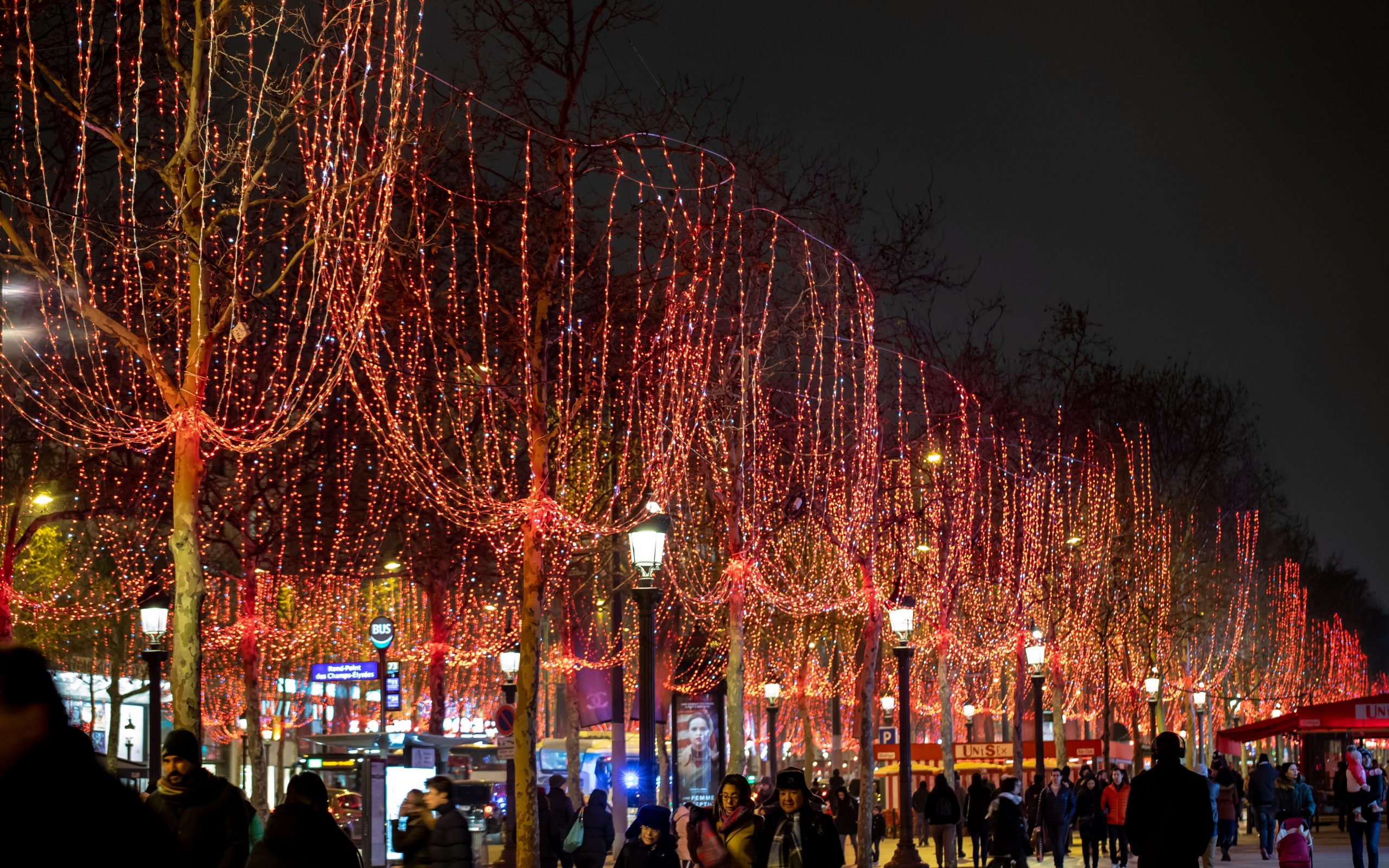 Christmas lights along the Champs-Elysées in Paris.